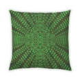 thumbnail image 1 of Ahgly Company Outdoor Square Contemporary Throw Pillow, 18 inch by 18 inch, 1 of 5