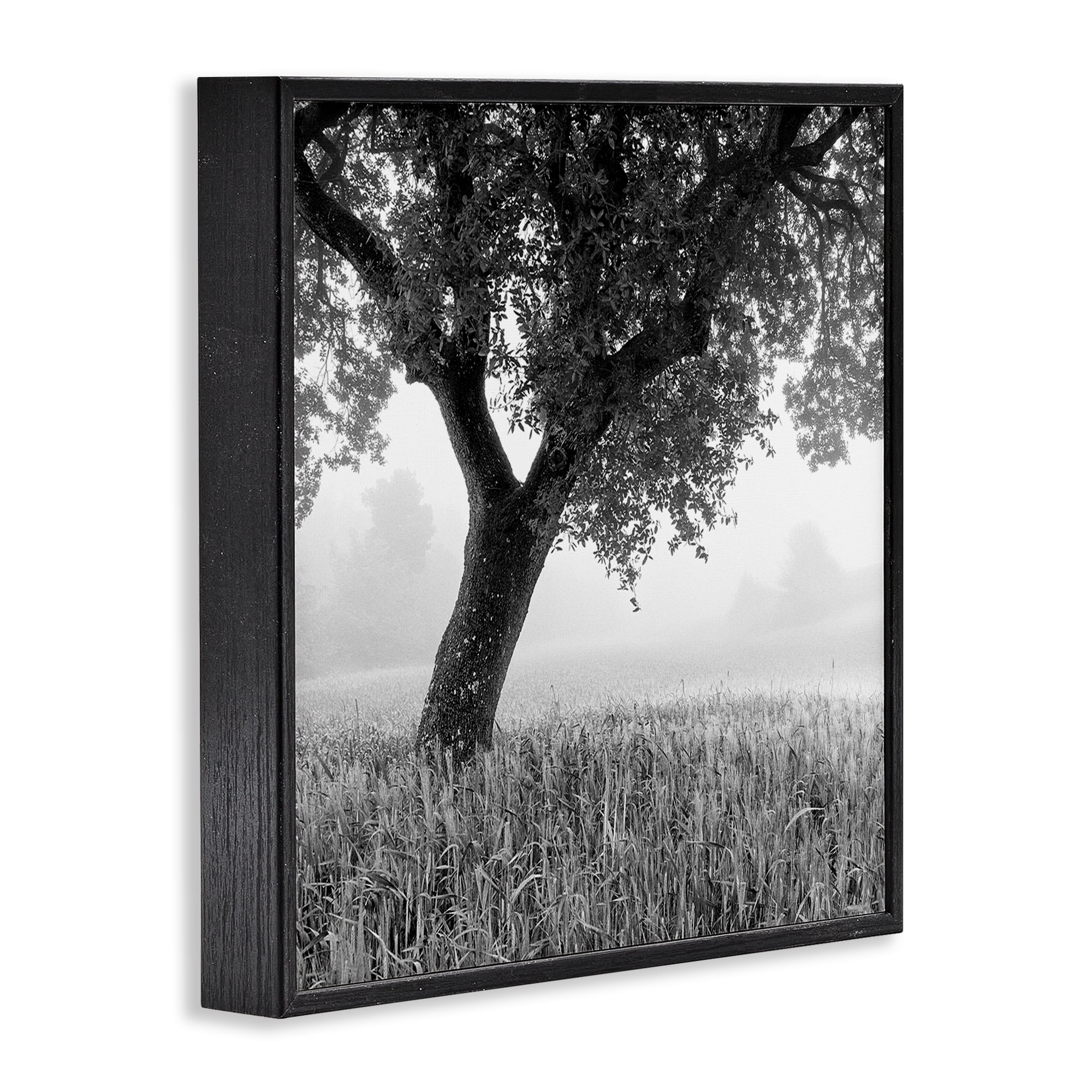 Stupell Industries Tuscan Morning Oak in Mist Black Framed Giclee Art, design by Chip Forelli