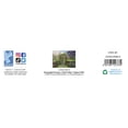 thumbnail image 6 of Ceaco Hummingbird Cottage Steve Sundram 300 Piece Interlocking Jigsaw Puzzle, 6 of 10