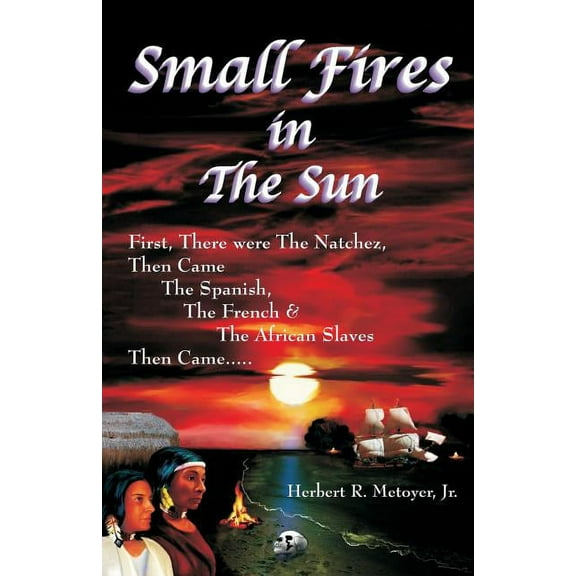 Small Fires in the Sun (Paperback)