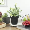 thumbnail image 2 of Northlight 10" Green Artificial Melia Azedarach Plant in Black Pot, 2 of 5