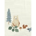 thumbnail image 5 of Modern Moments by Gerber Baby Boy Milestone Blanket & Frame Set, 2-Piece, Teal Forest, 5 of 7