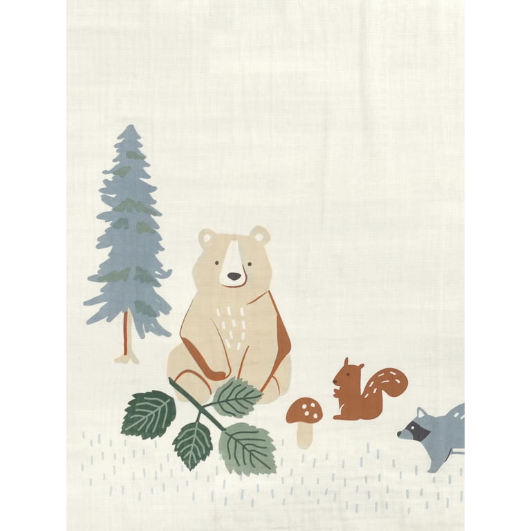 Modern Moments by Gerber Baby Boy Milestone Blanket & Frame photo 5