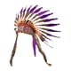 thumbnail image 2 of Tocados de americanos: tocado de plumas, diadema para bailes de máscaras, 2 of 9