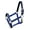 Blue, variant on Adjustable Cob Size Neoprene Lined Nylon Halter w/ "Running Horse" Overlay (Red)
