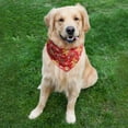 thumbnail image 5 of Dog Bandanas - 6 Pack Black & Pink Halloween Ghost Spider Pet Scarf, Soft & Comfortable Polyester Fabric, for Small, Large & Extra Large Dogs & Cats, 5 of 6