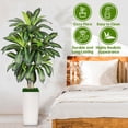 5FTArtificial Dracaena Plant Tree with White Planter, Faux Tropical ...
