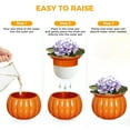 thumbnail image 4 of EFISPSS 6" Self-Watering Pumpkin-Style Ceramic African Violet Pot – Pumpkin-Orange Indoor Planter, No Plant Included, 4 of 7