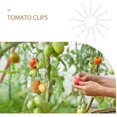 thumbnail image 3 of unbranded 1Jgo Clips Para Color Con Soporte Para Plantas En, 3 of 8