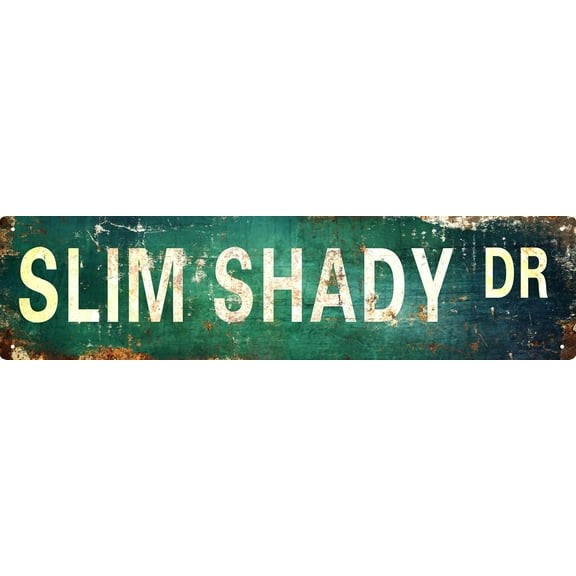 Vintage Metal Tin Sign Retro Slim Shady Dr Signs Stylish Wall Art Plaques for Home Decor 16x4 in