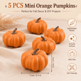 thumbnail image 2 of Mini Artificial Pumpkins 5 Pack, Orange Foam Pumpkins, Small Fall Table Decorations for Thanksgiving Halloween Mantel Tray Bowl Home Decor, 2.7*1.9in, 2 of 7