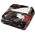 thumbnail image 3 of Blanket Ralph Bedding Fleece Flag Tapestry Macchio Soft Throw Blankets Poster Lightweight Anti-Static Blanket 30"x40", 3 of 7