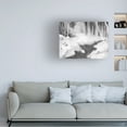 thumbnail image 3 of Jacob Green 'Graphite Glade II' Canvas Art, 3 of 3