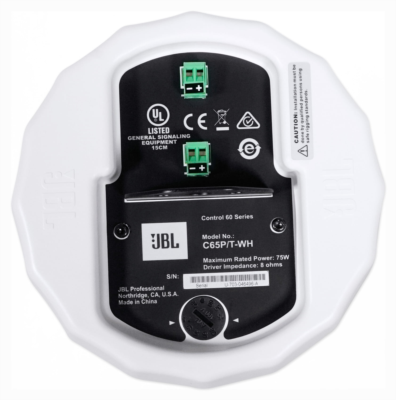 Control 65 P/T Compact Full-Rang ePendant Speaker