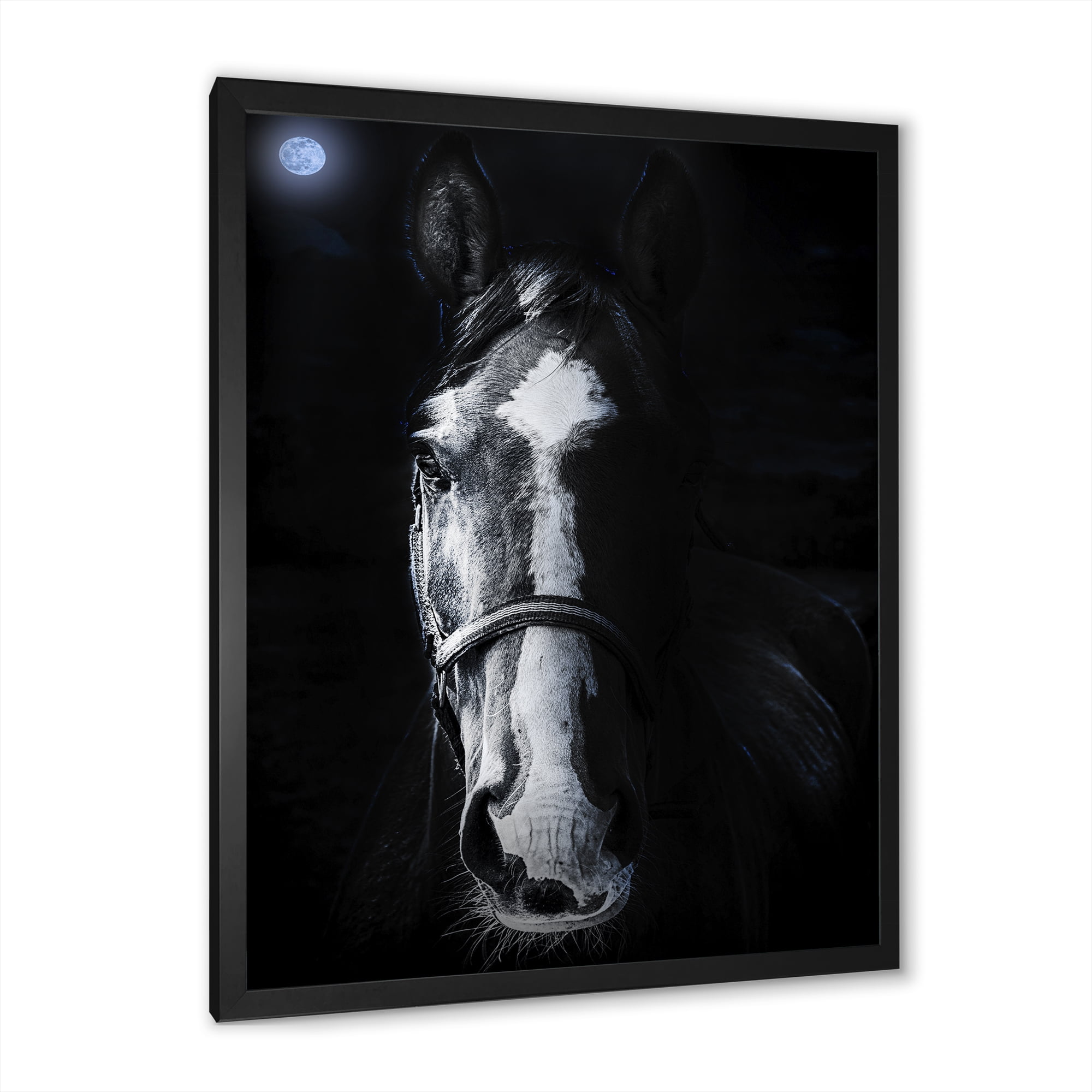 Portrait of Horse Staring Sinister 24 in x 32 in Framed Photography Canvas Art Print, by Designart