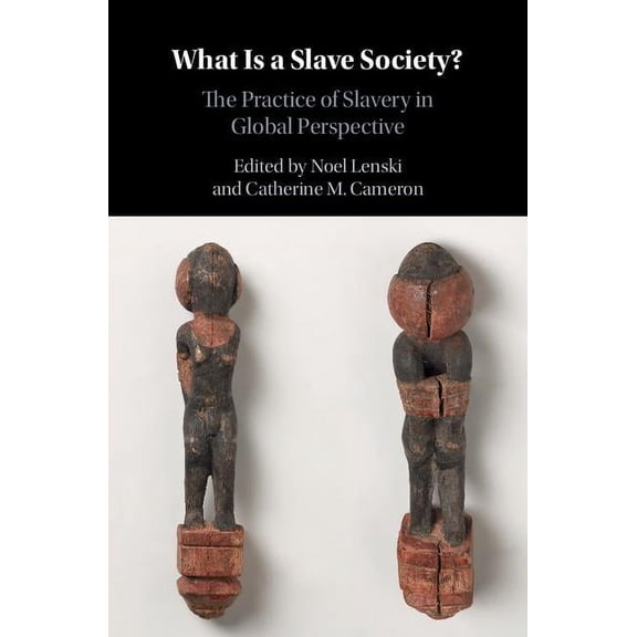 What is a Slave Society?, (Hardcover)