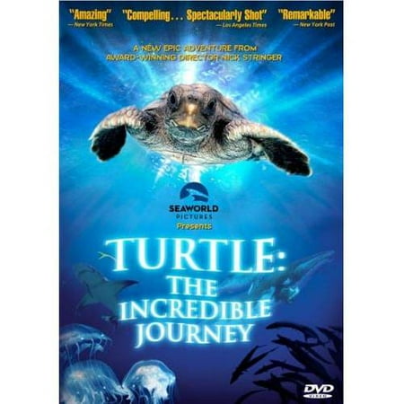 UPC 761450007833 product image for Turtle: The Incredible Journey (Blu-ray) (Widescreen) | upcitemdb.com