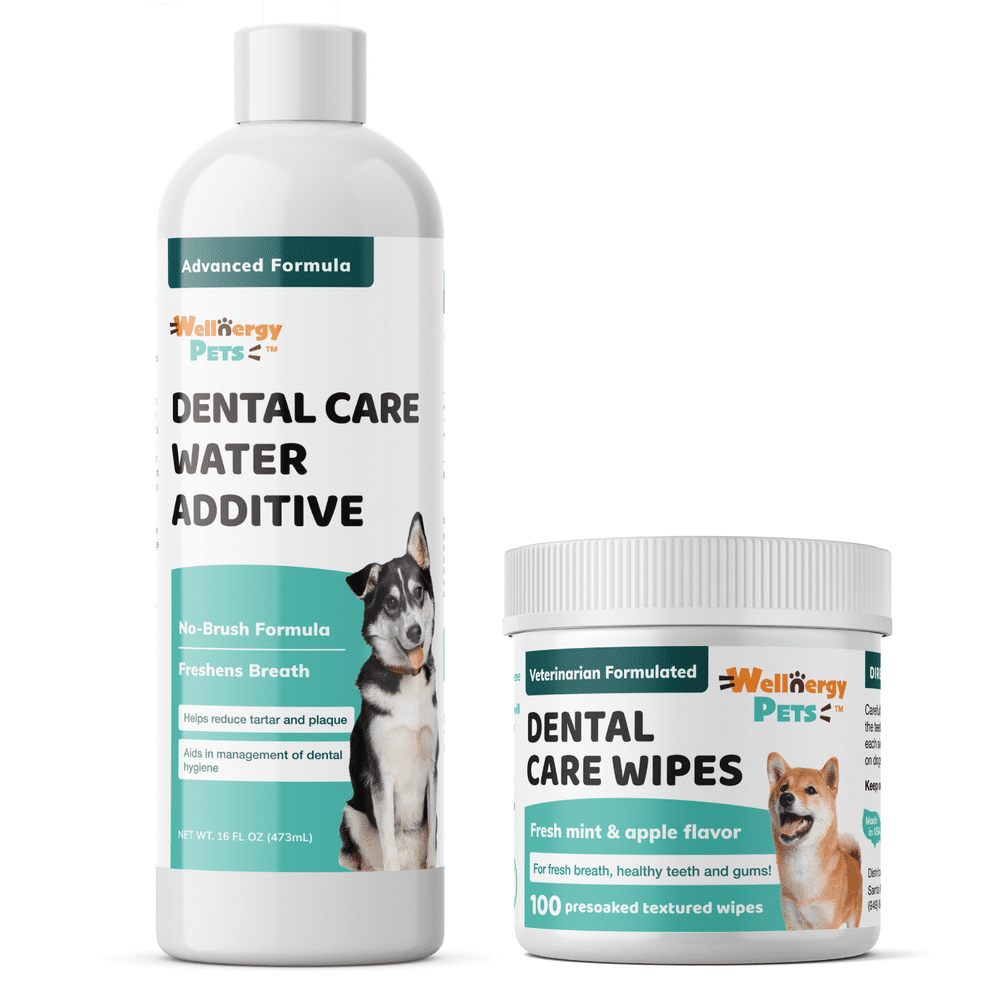 Wellnergy pets Dental Dental Care Bundle for Dog & Cat Improve Oral