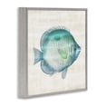 thumbnail image 2 of Stupell Industries Traditional Fish Impression Sea Life Gray Framed Giclee Art, 24 x 24, by Susan Arnot, 2 of 7