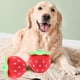 thumbnail image 5 of Ofertas del Cyber of Monday Ofertas del Black of Friday Juguetes para niños por menos de $ 5 kkbbma 4 paquetes de juguetes de peluche para perros que chirrían, juguete para perros con fresa, 5 of 8