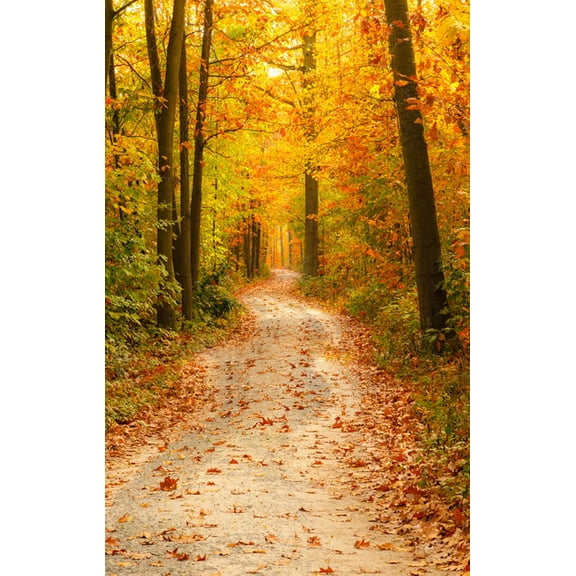 Autumn Photography Backdrops Froest Road Fallen Leaves Backgrounds for Photo Studio Portrait Photo Shoot Photoph Photocall 3D