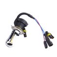 View all media
