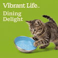 thumbnail image 4 of Vibrant Life Stainless Steel Cat Food Saucer, 4 of 9