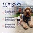 thumbnail image 4 of Petpost Skunk Odor Shampoo for Dogs & Cats - Natural Deodorizing Formula with Safflower Oil - Removes Skunk Spray, Eliminates Strong Odors - Gentle on Skin, 4 of 10