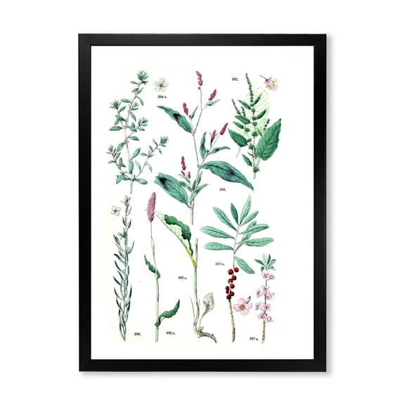 Designart 'Ancient Plants' Traditional Framed Art Print