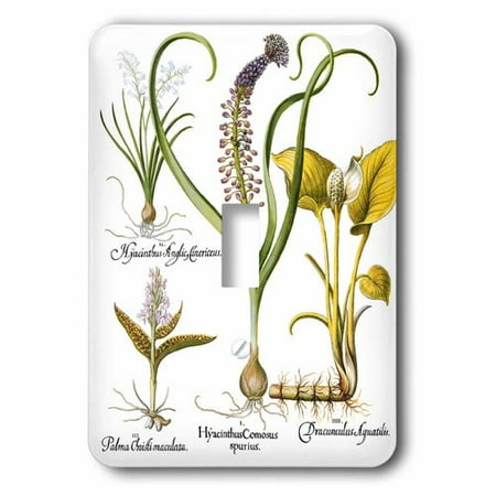 Paradise Wild Orchid Single - 3dRose Tufted grape Hyacinth, Wood Hyacinth, Orchid and Wild Calla Lily, Single Toggle Switch