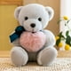 thumbnail image 1 of Un regalo lindo Muñeco de peluche Hug Bear Teddy Bear gris 30cm, 1 of 2