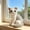 D, variant on Qonioi Sitting Cat Plush Toy, Soft Cuddly Tabby Blue Cat Plush with Adorable Head-Turned, Cute Stuffed Animal for Cat Lovers Home Decor Gift