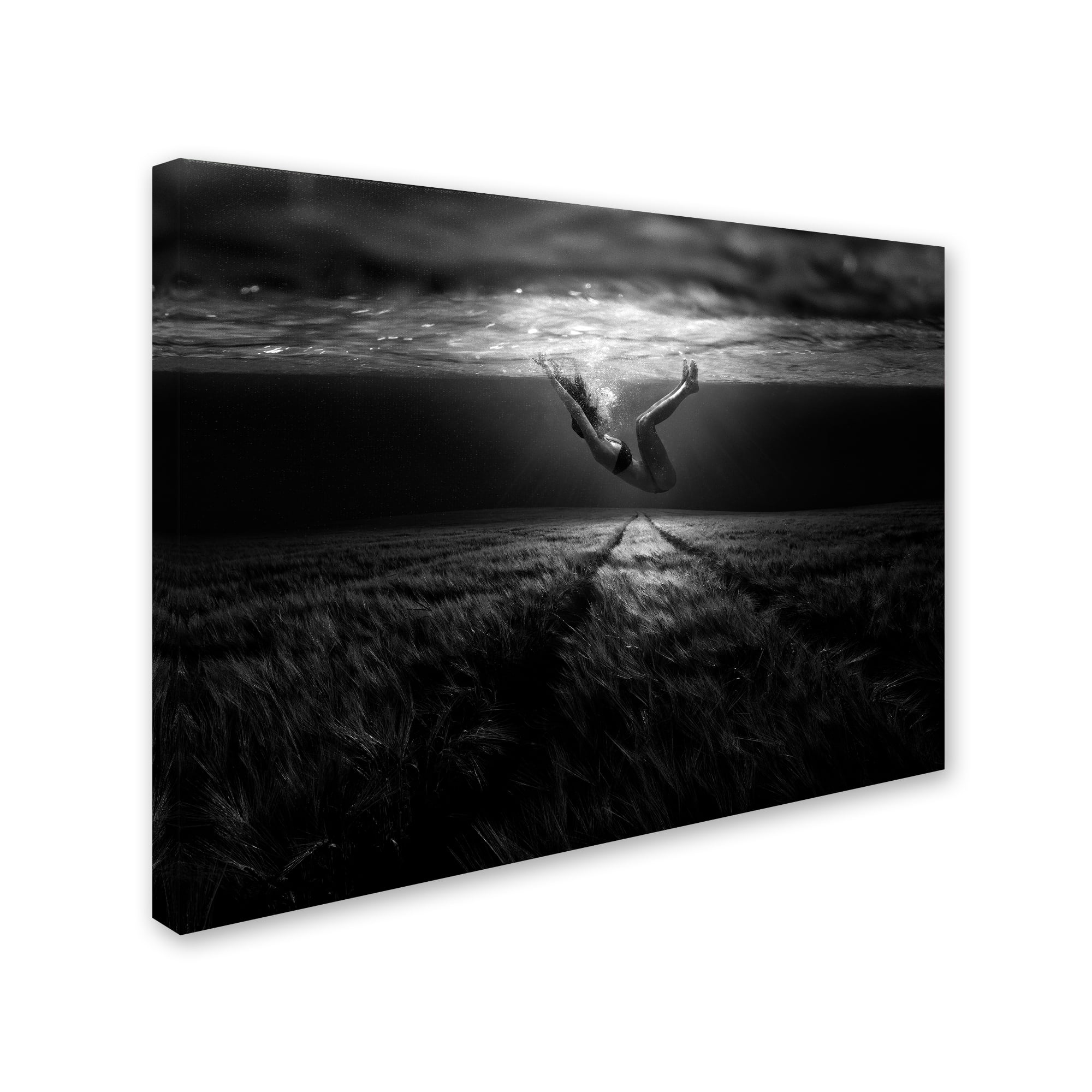 Trademark Fine Art 'Underwaterlandream' Canvas Art by Peter Majkut