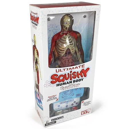 SmartLab Toys Ultimate Squishy Human Body Lab