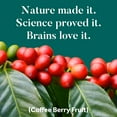 thumbnail image 5 of Neuriva Original Brain Health Supplement (30 count), Brain Support With Clinically Tested Natural Ingredients (Coffee Cherry & Plant Sourced Phosphatidylserine), 3 Pack, 5 of 9