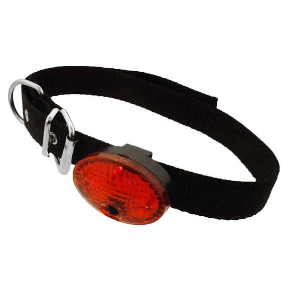 BRITEGUARD Adjustable Dog Collar with LED Lights | 24.5" (62.2 cm) Length | Enhanced Visibility for Nighttime Safety | Three Light Modes | Versatile Light Unit | Battery Included