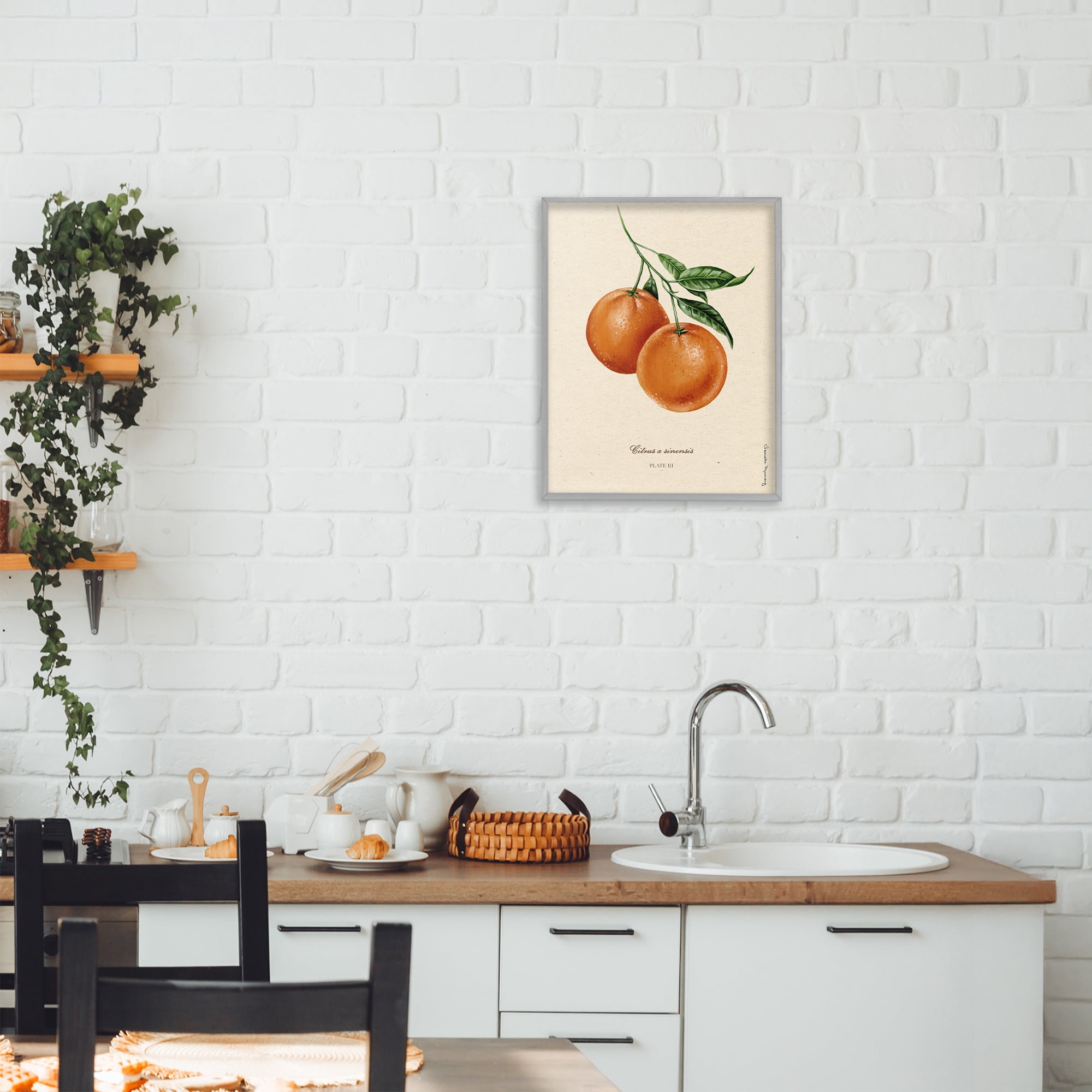 Stupell Industries Orange Fruit Portrait Gray Framed Giclee Art, design by Danielle Murray