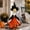 013N, variant on Nkmbld Porch Goose Decor, Summer Bikini Porch Goose Clothes for Cement Plastic Goose Statue, Goose Skirt Costume for Outdoor Yard Lawn Patio Decor