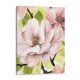 thumbnail image 1 of Cuadro decorativo - Blush Magnolia Ii, Grace Popp 45x60 Canvas Lab Botánica, Floral, Naturaleza, 1 of 2