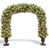 National Tree 8-1/2' Wintry Pine Archway with Cones, Red Berries and Snowflakes in Dark Bronze Fiberglass Pot with 900 Clear Lights, UL