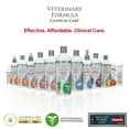 Veterinary Formula Clinical Care Hypoallergenic Shampoo for Dogs and