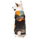 thumbnail image 1 of Balery Colorful Painted Duck Sudadera con Capucha para Perros Pequeños – Ropa para Mascotas, Disfraz para Perros y Gatos, Ideal para Fiestas y Cosplay-Large, 1 of 7