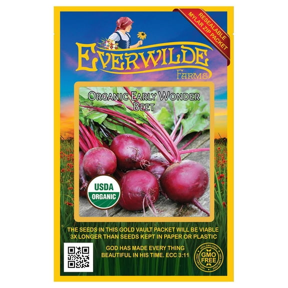 Everwilde Farms - 500 Organic Early Wonder Beet Seeds - Gold Vault Jumbo Bulk Seed Packet