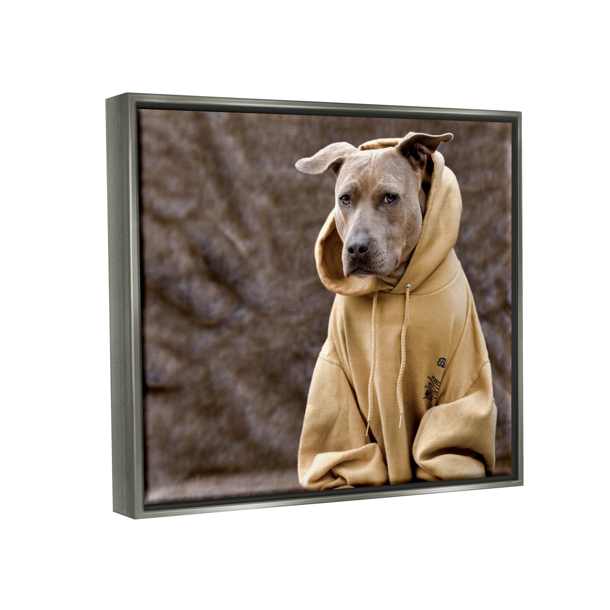 Stupell Industries Beautiful Dog Wearing Cozy Yellow Hoodie Photography Photograph Luster Gray Floating Framed Canvas Print Wall Art, Design by Michael Brian
