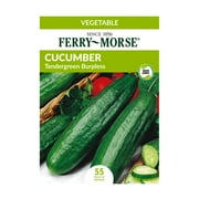 Ferry-Morse 65MG Cucumber Tendergreen Burpless Vegetable Plant Seeds Packet