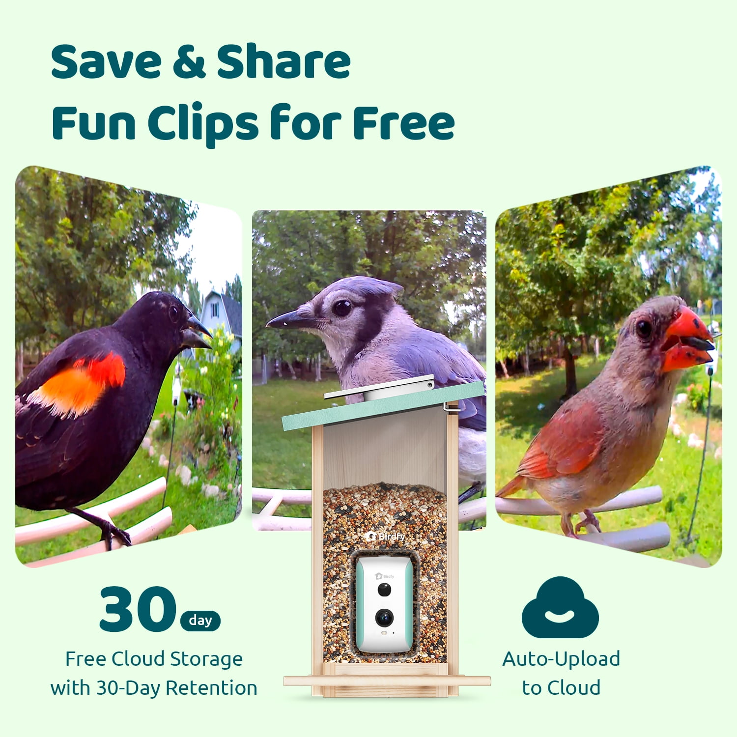 Birdfy Smart Bird Feeder with Camera, AI Identify 6000+ Species, Solar Powered,Eco-friendly Wooden, Ideal Gift, Cyan