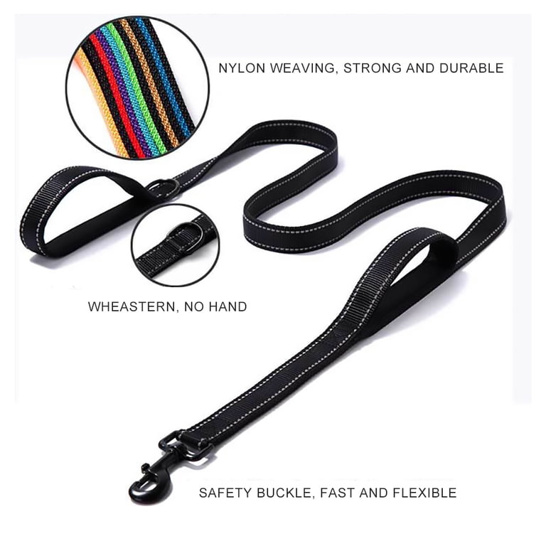 TwoEar 6FT Reflective Dog Leash - Heavy Duty Nylon, Padded Handle, For Medium & Large Dogs, Blue
