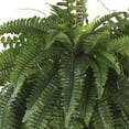 thumbnail image 3 of Nearly Natural 22" Large Boston Fern Artificial Plant in Hanging Basket, Green, 3 of 8