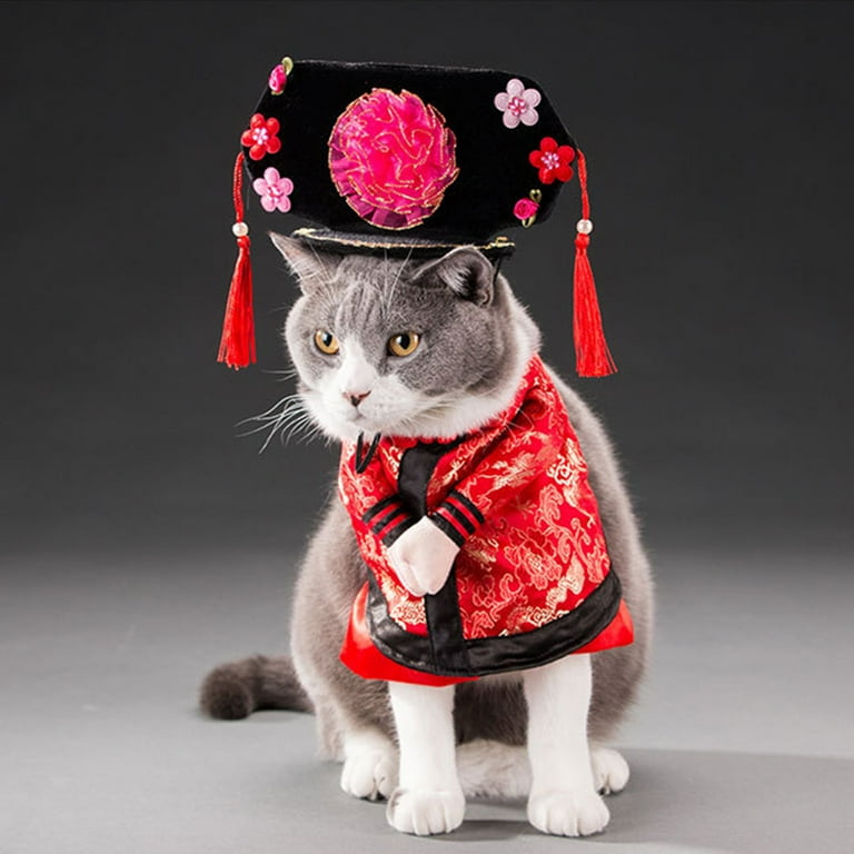 Chinese new top year cat costume
