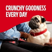 Milk Bone Mini’s Crunchy Mini Dog Treats, 15 oz Box, Original Beef Flavor